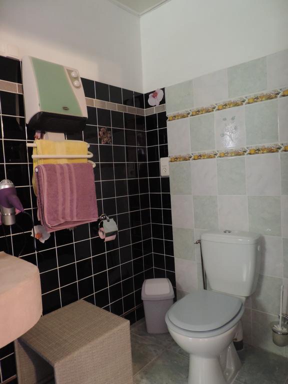 Les Deux Lions Hotel Alairac Bagian luar foto