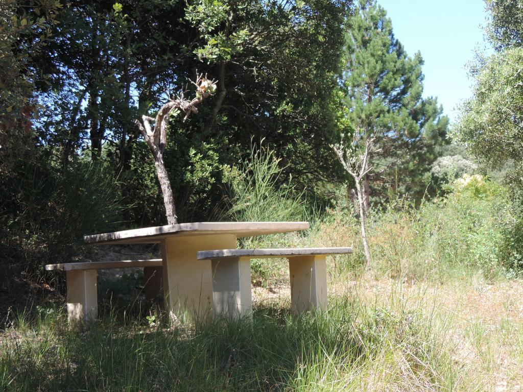 Les Deux Lions Hotel Alairac Bagian luar foto