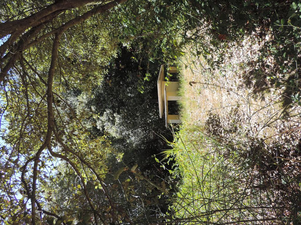 Les Deux Lions Hotel Alairac Bagian luar foto